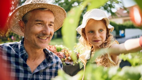 Ein Großvater und seine Enkelin pflegen den Garten des eigenen Zuhauses Ein Großvater und seine Enkelin pflegen den Garten des eigenen Zuhauses
